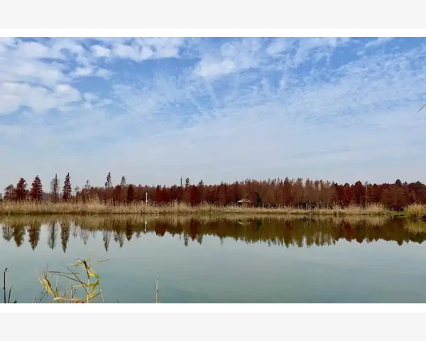 益阳会计师事务所服务特色与选择要点