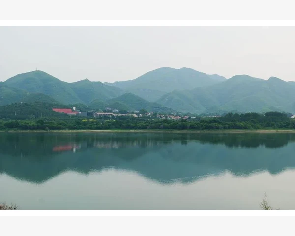 中药清肺平喘药有哪些？